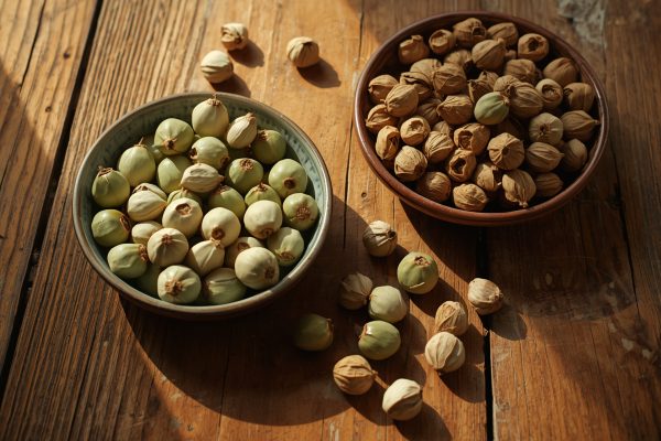 hạt sen làm bánh trung thu nhân đậu xanh hạt sen